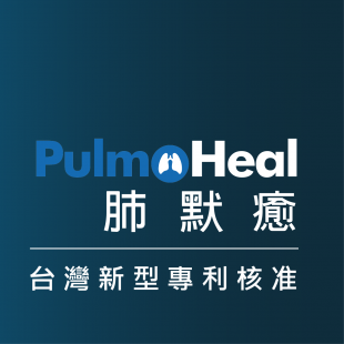 Pulmo發展進程小圖-台灣新型專利核准.png